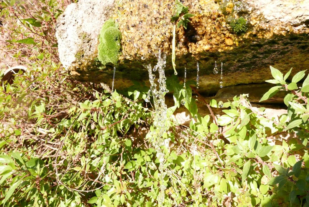 מונסנטו Casa Do Meio Em Quinta De Sao Pedro De Vir-A-Corca מראה חיצוני תמונה