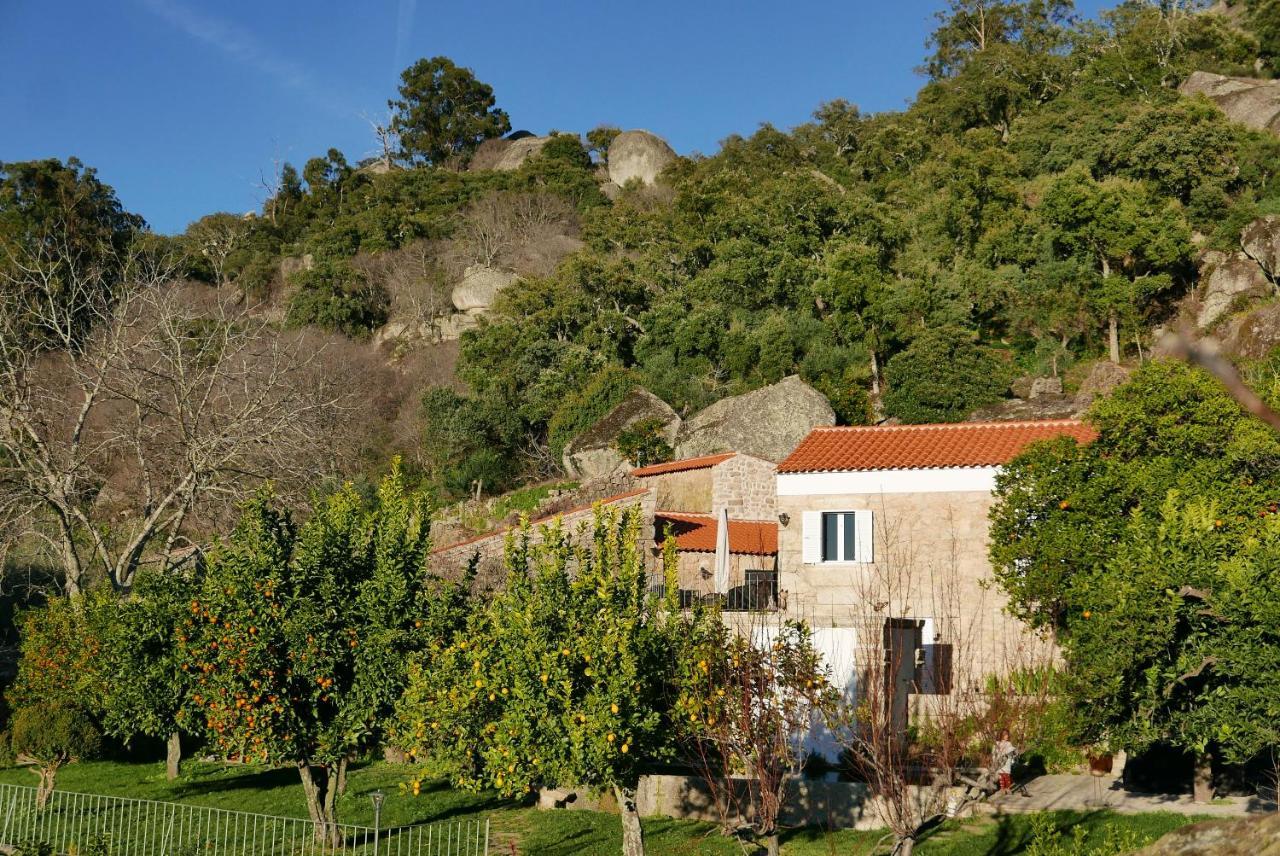 מונסנטו Casa Do Meio Em Quinta De Sao Pedro De Vir-A-Corca מראה חיצוני תמונה