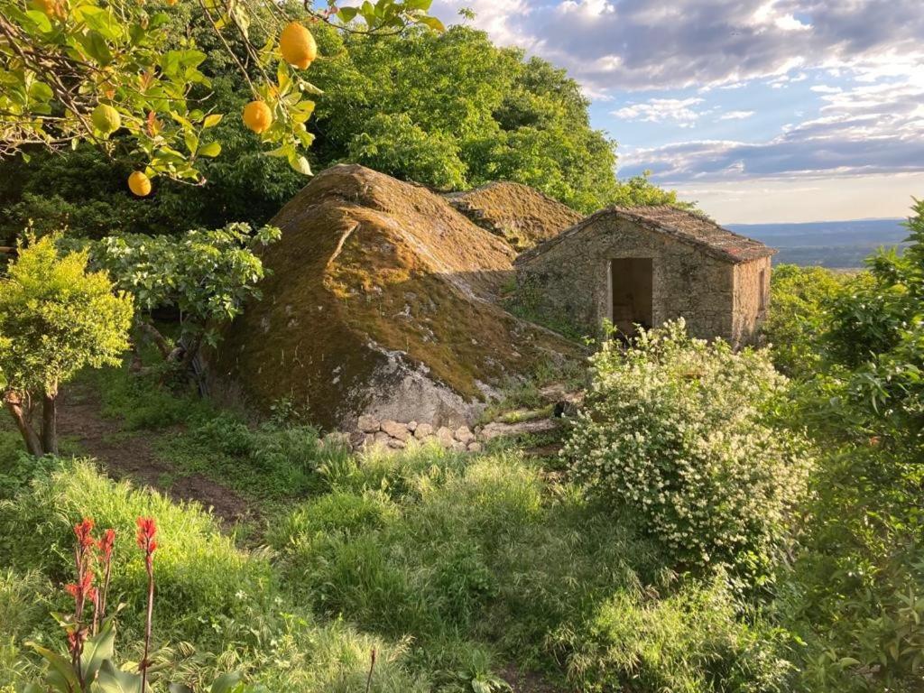 מונסנטו Casa Do Meio Em Quinta De Sao Pedro De Vir-A-Corca מראה חיצוני תמונה