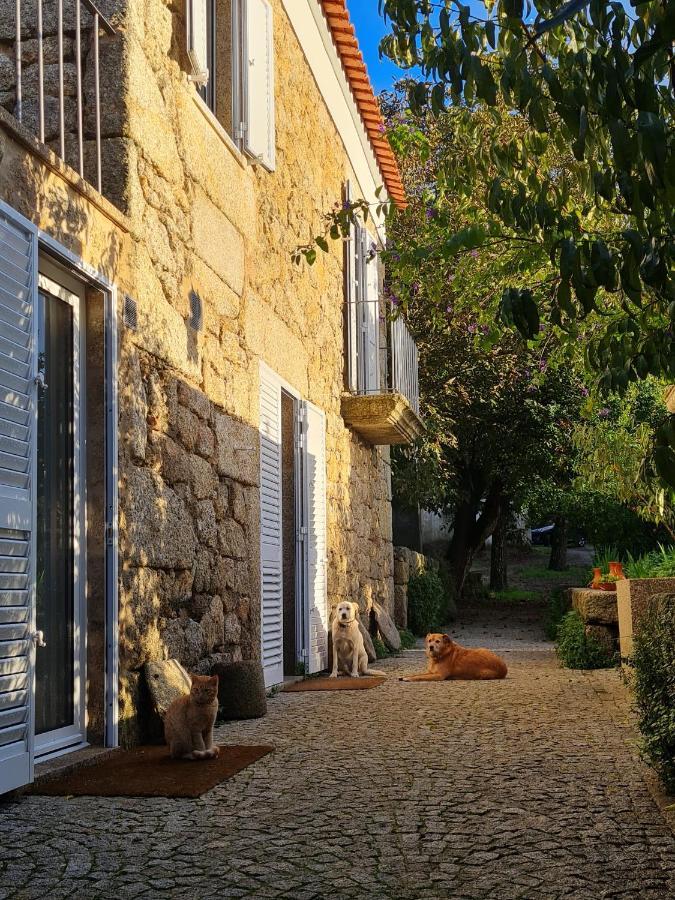 מונסנטו Casa Do Meio Em Quinta De Sao Pedro De Vir-A-Corca מראה חיצוני תמונה